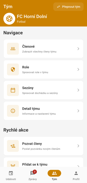 Detail konkrétního týmu – seznam hráčů, role, základní informace, přepínání týmů.